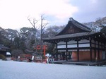 teien shimogamo jumoku.jpg