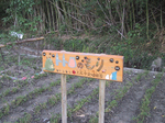 miyagouchi09.jpg